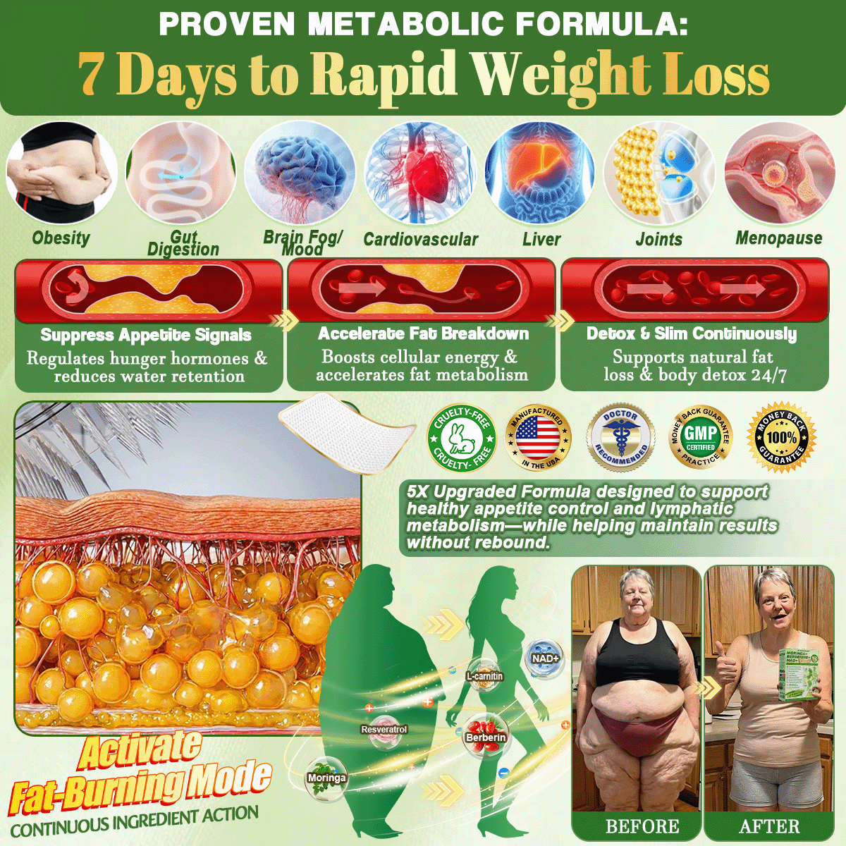 DR.HONOR® Metabolic Nano Microneedle Patch